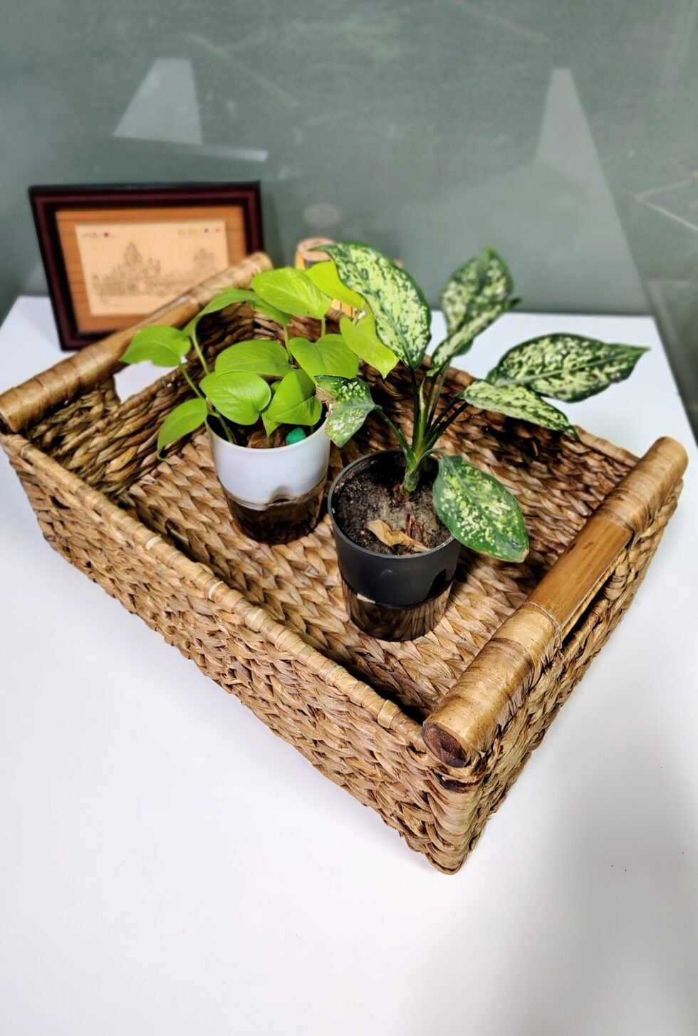 Large Basket - Image 4